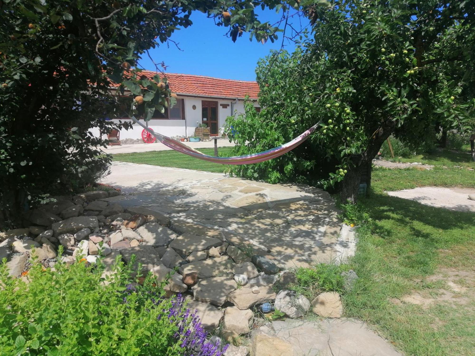 Calla Retreat Vezenkovo Екстер'єр фото