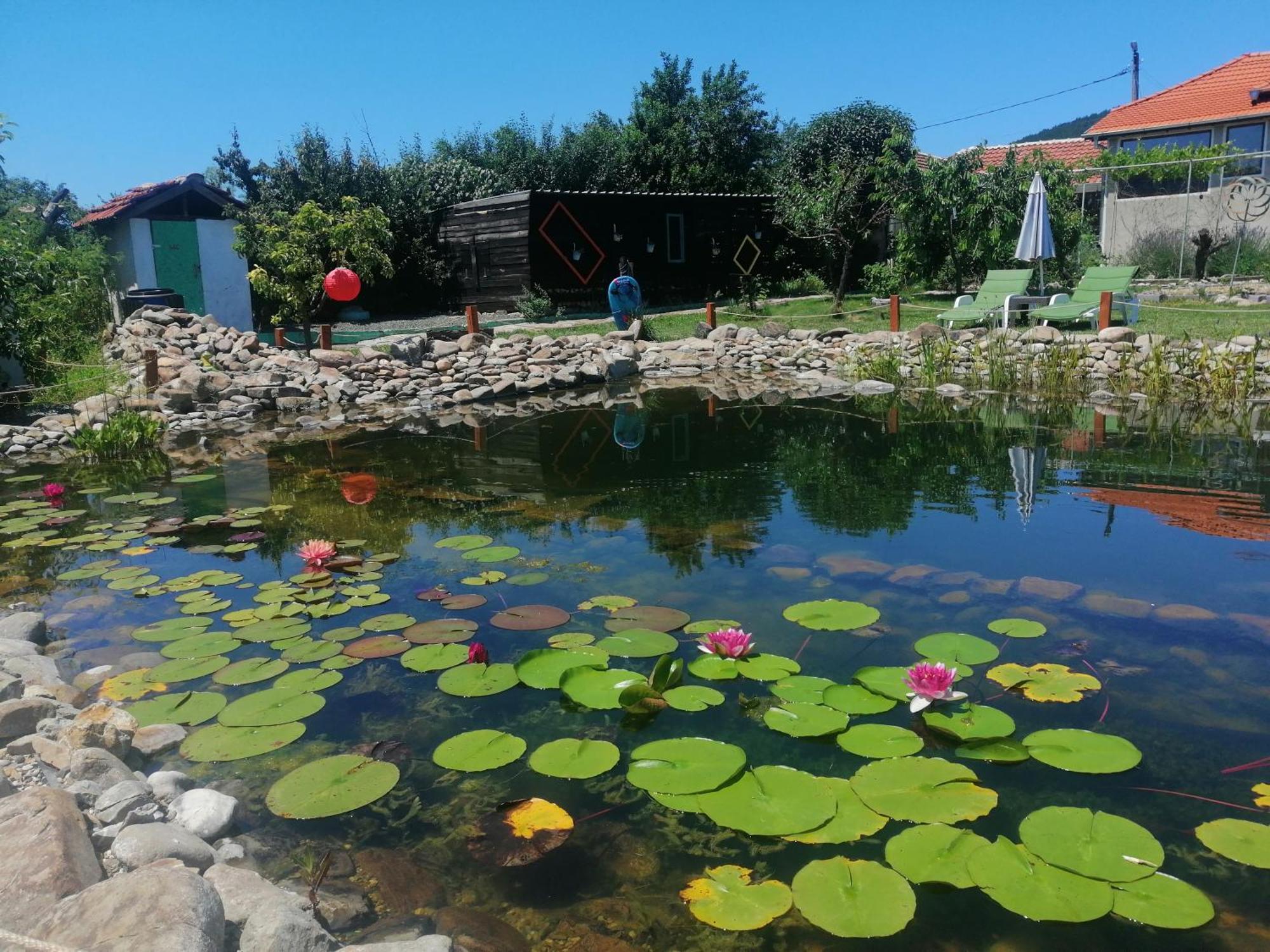 Calla Retreat Vezenkovo Екстер'єр фото