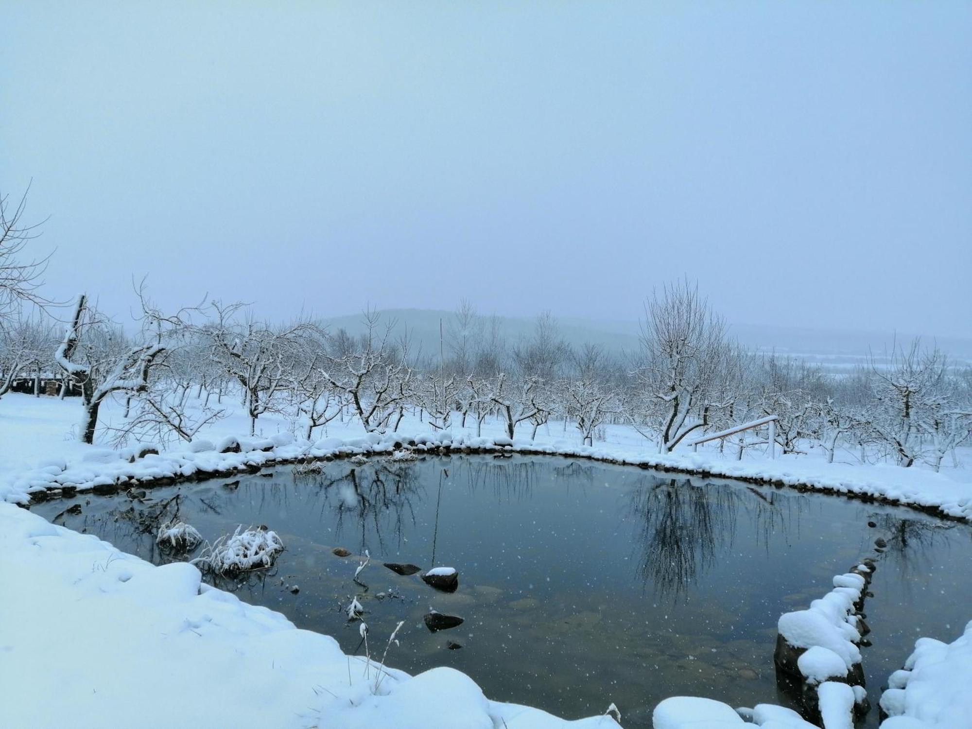 Calla Retreat Vezenkovo Екстер'єр фото