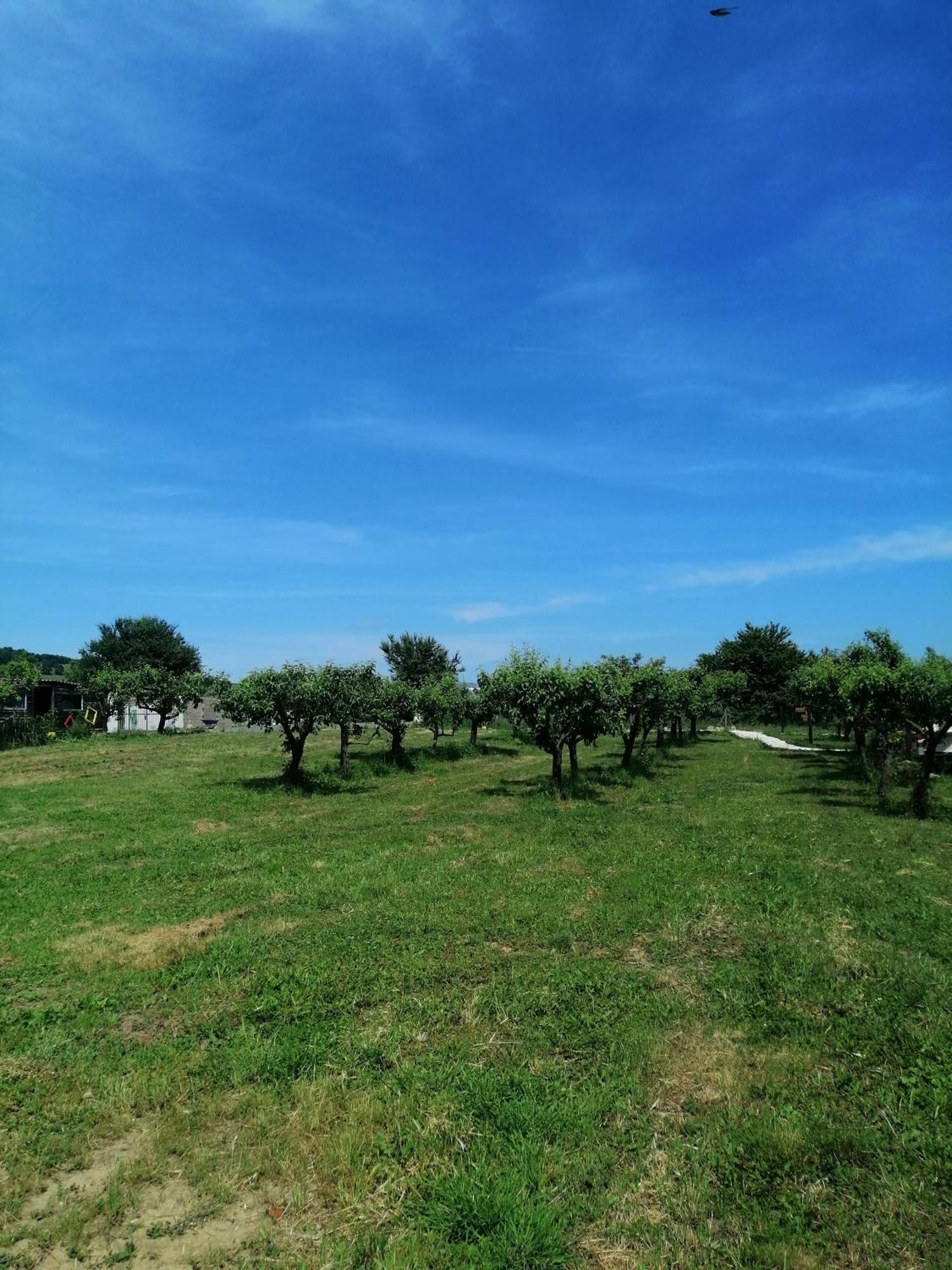 Calla Retreat Vezenkovo Екстер'єр фото